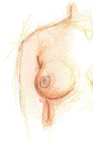 Illustration: Weibliche Brust, Bildrechte: Marie Rack